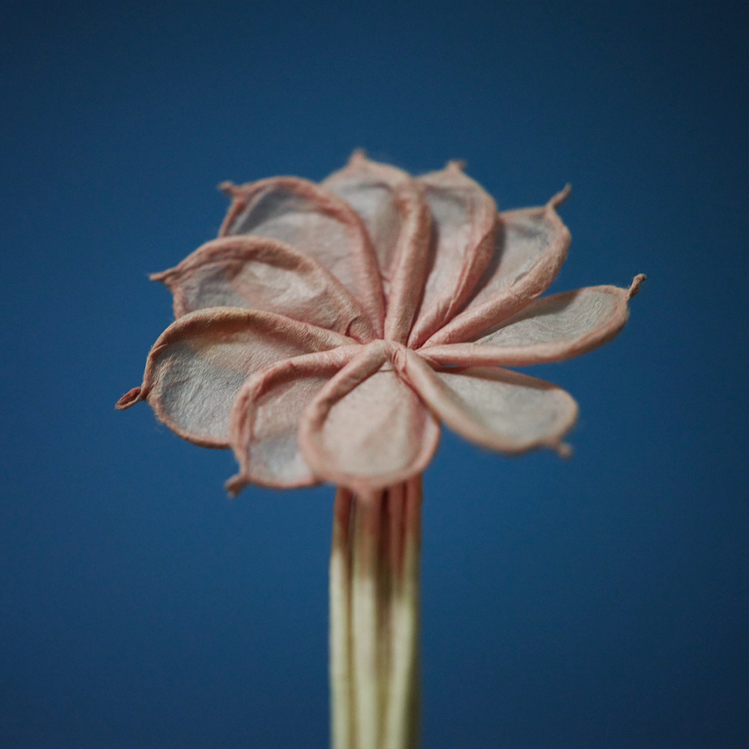 火を点けるのが惜しまれるほど。手練れの作る伝統花火は、まるで工芸品のような繊細な仕上がり。一本一本が、既に花として美しい。